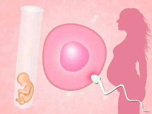 石家庄试管代孕哪最好,4cm子宫肌瘤致不孕，通过试管婴儿助孕成功率有多高？